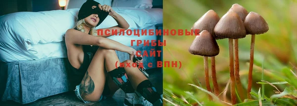 гашишное масло Арсеньев