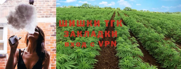 apvp Аркадак
